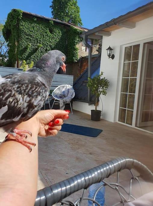 Casa In Inima Capitalei Villa Bukares Bagian luar foto
